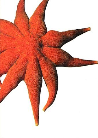 Pixel Juice Book Art